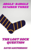 The_Lost_Sock_Question