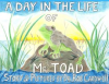 A_Day_in_the_Life_of_Mr__Toad