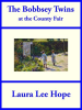 The_Bobbsey_Twins_at_the_County_Fair