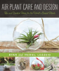 Air_Plant_Care_and_Design
