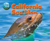 California_Sea_Lion