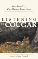 Listening_to_Cougar
