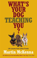 What_s_Your_Dog_Teaching_You_