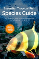 Essential_Tropical_Fish_Species_Guide