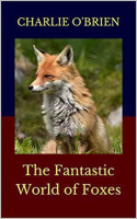 The_Fantastic_World_of_Foxes