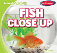 Fish_Close_Up
