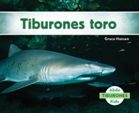 Tiburones_toro__Sand_Tiger_Sharks_