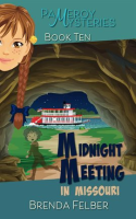 Midnight_Meeting