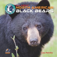 All_About_North_American_Black_Bears