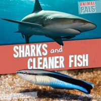 Sharks_and_Cleaner_Fish