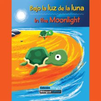 Bajo_la_luz_de_la_luna___In_the_Moonlight