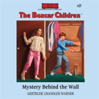 Mystery_Behind_the_Wall