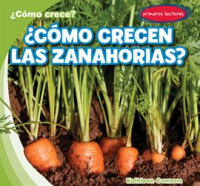 __C__mo_crecen_las_zanahorias___How_Do_Carrots_Grow__