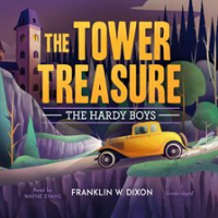 The_Tower_Treasure