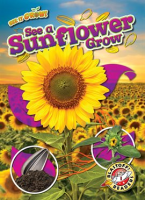 See_a_Sunflower_Grow
