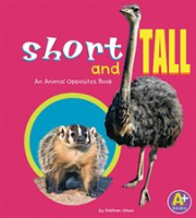 Short_and_Tall