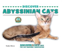 Discover_Abyssinian_Cats