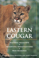 Eastern_Cougar