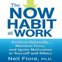 The_Now_Habit_at_Work
