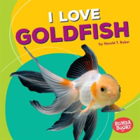 I_Love_Goldfish
