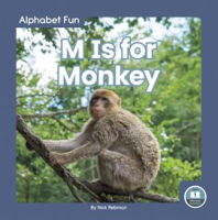 M_Is_for_Monkey